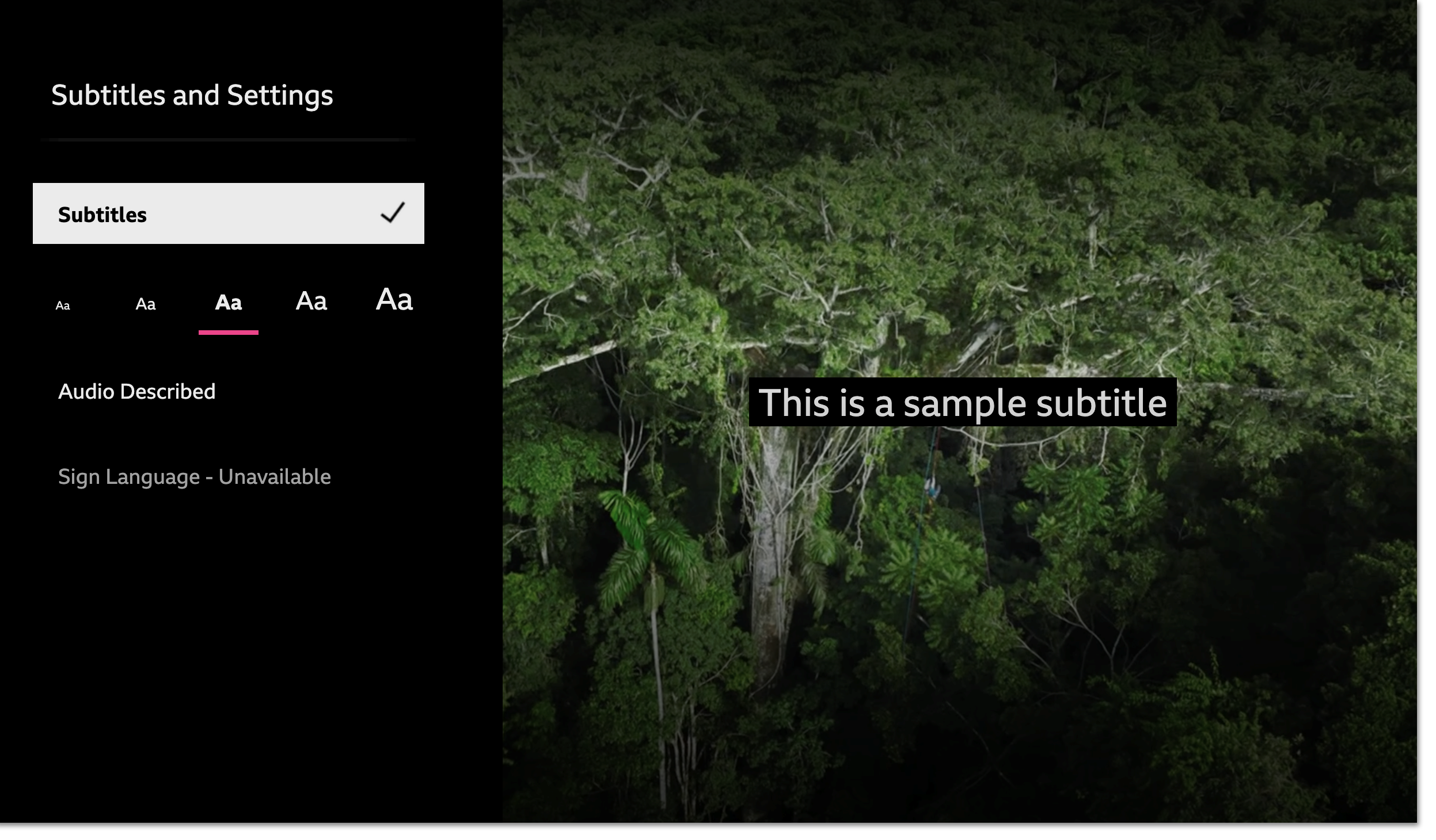 Image of the subtitles and accessibility menu on the TV app