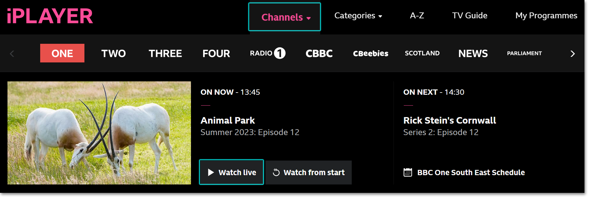 Image of the iPlayer website with the 'Channels' and 'Watch live' icons highlighted
