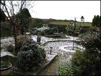 Stewart's garden on Saturday morning
