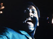 Shake: Otis at Monterey