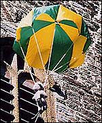 Parachuting Teddy Bear