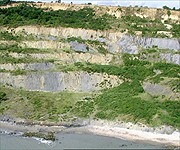 Picture showing landslides around the area