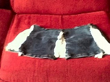 Denim Mini-skirt