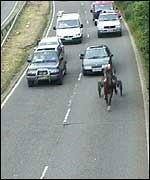 A trotting race