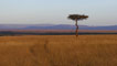 about the mara about the mara