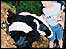 Badger character