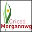 Clwb Criced Morgannwg