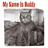 Review of My Name Is Buddy