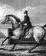 Margaret the horse-stealer