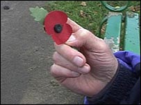 Holding a poppy