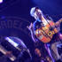 Gogol Bordello