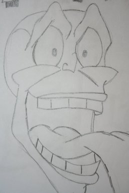 The mask