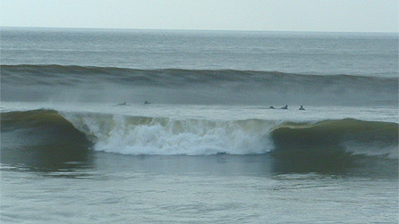 Waves at the Harbour Trap by Rob