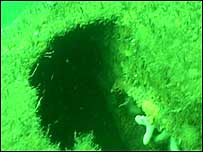 Wreck site