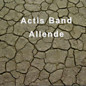 Review of Allende