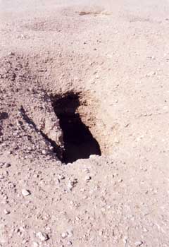Prehistoric pit graves