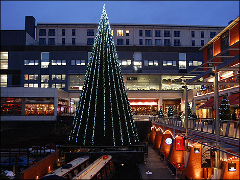 Christmas 2008 - in all its glory