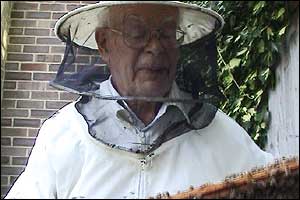 Bees