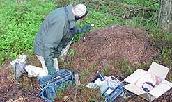 Wildlife sound recordist, Chris Watson prepares to insert microphone into ant nest