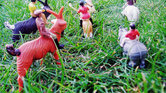 Plastic People... Plastic People...