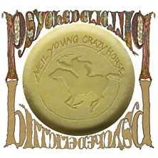 Review of Psychedelic Pill