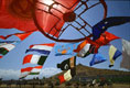 Flags flying in the wind, photo by Tom Ang