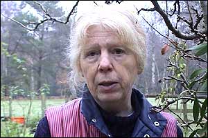 Alison Bolton