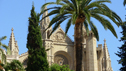 Useful information about the Spanish language