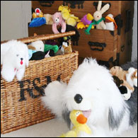 Sally's plush collection