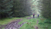A muddy trail leading into the pine forests