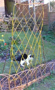 Willow support in place