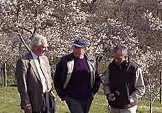 damson orchards