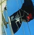Reconstructed Blackbeard pirate flag