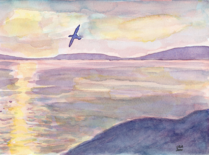 Sunset across the Estuary