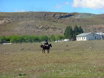 An Argentine Indian on horseback in the High Andes