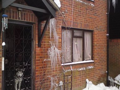ice tree