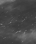 Aerial view of the D-Day Armada in the Channel