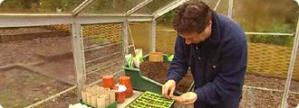Greenhouse planting