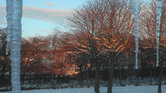Winter morning...
