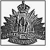 Image of the Imperial Camel Corps regimental badge.