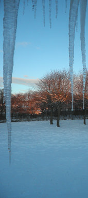 Winter morning