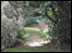 The Dappled Garden
