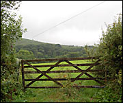 A fence and field