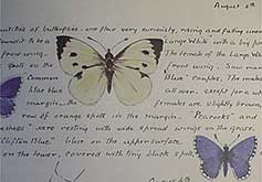 A Country Woman's Journal