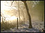 Frost Common by Stefan Taylor: link.