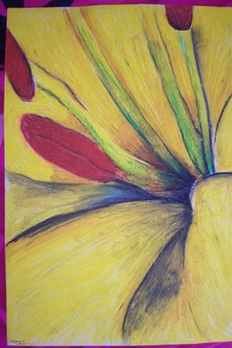 Flower, Lily -This was graded A by my teacher