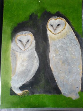 two owls