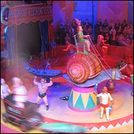 Mark Copeland's Insect Circus