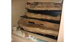 Egyptian Mummy