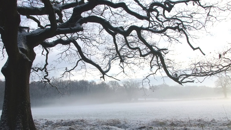 Woodland Road, Croesyceiliog - Rob Poulton